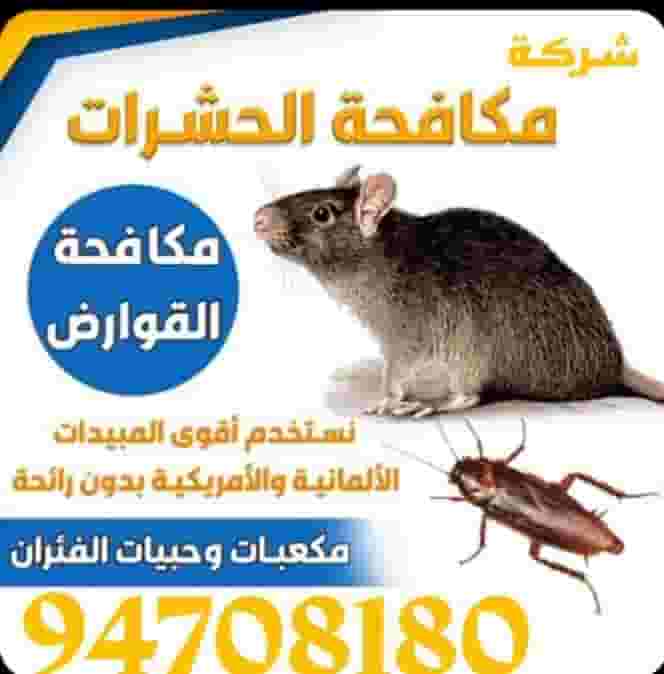 مكافحة حشرات