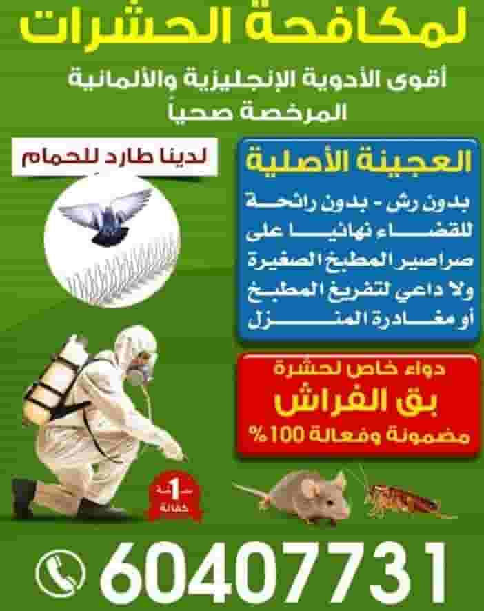 مكافحة حشرات وقوارض