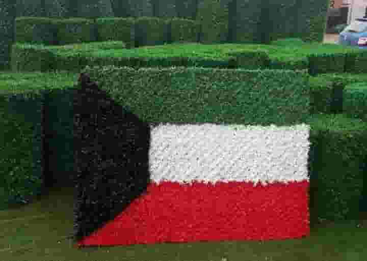 تنسيق حدائق