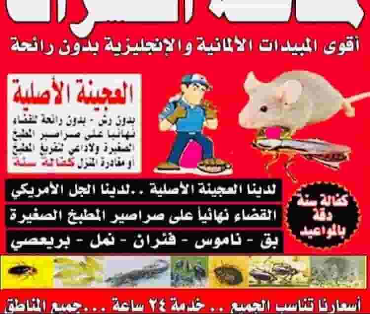 مكافحه حشرات