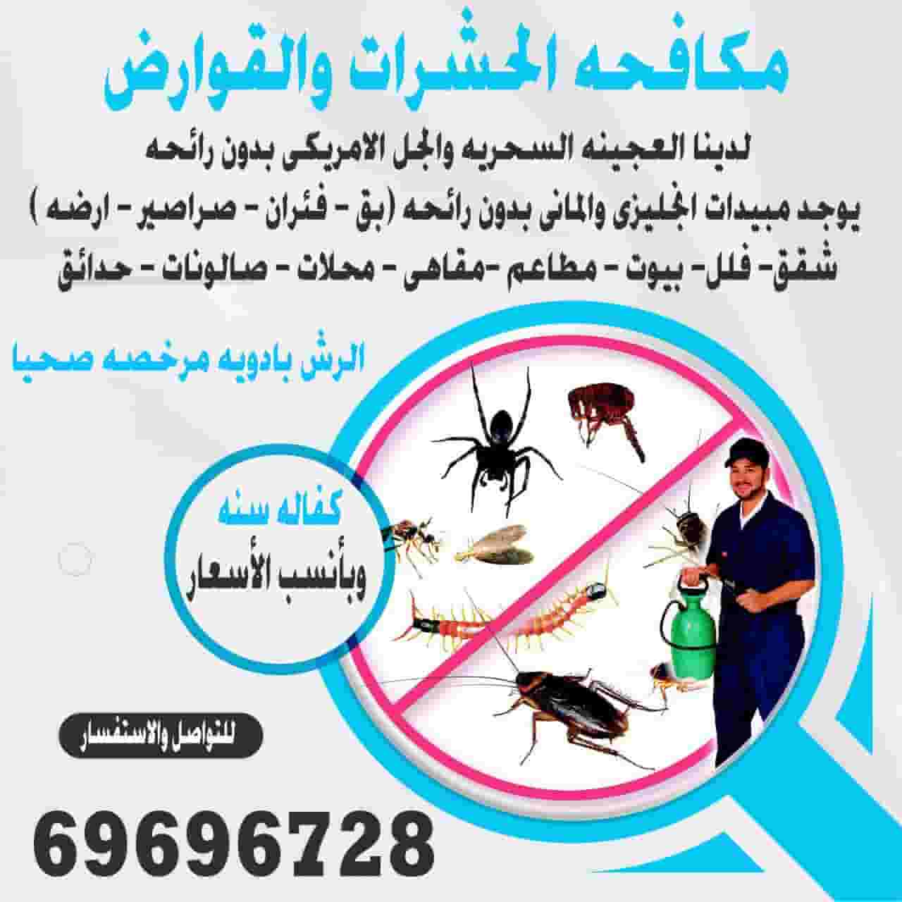 مكافحه حشرات وقوارض كفالة سنة