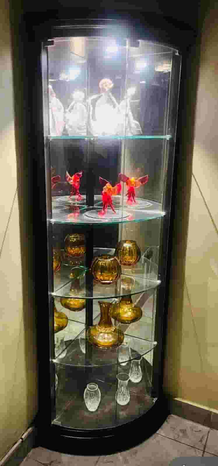 display cabinet with light