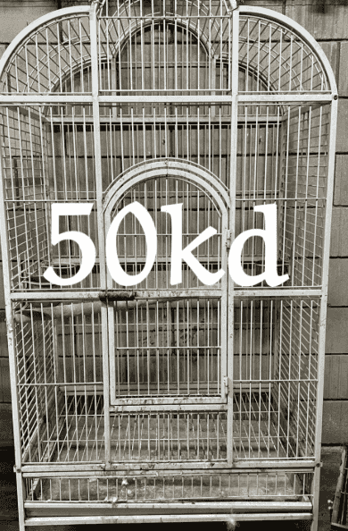 A set of cages for birds