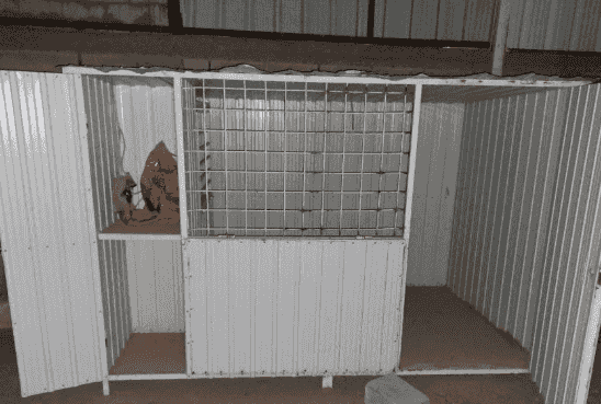 dog cage for sale