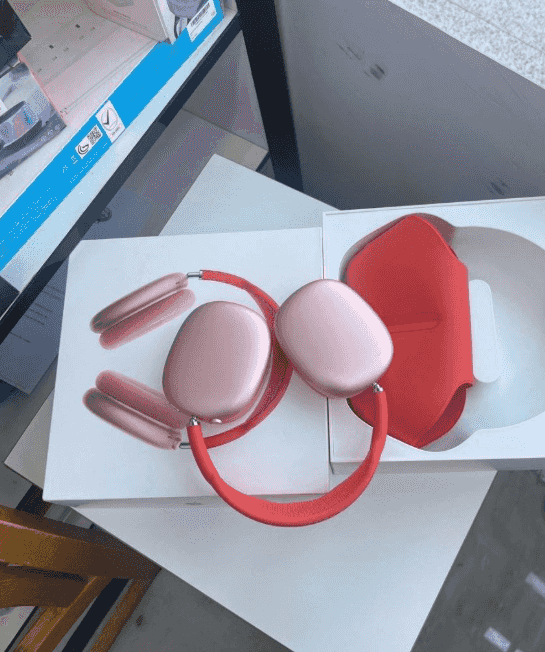 Max headphones used