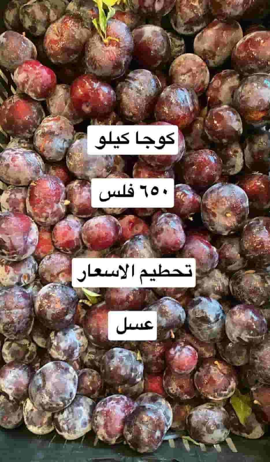 Logy for vegetables and fruits