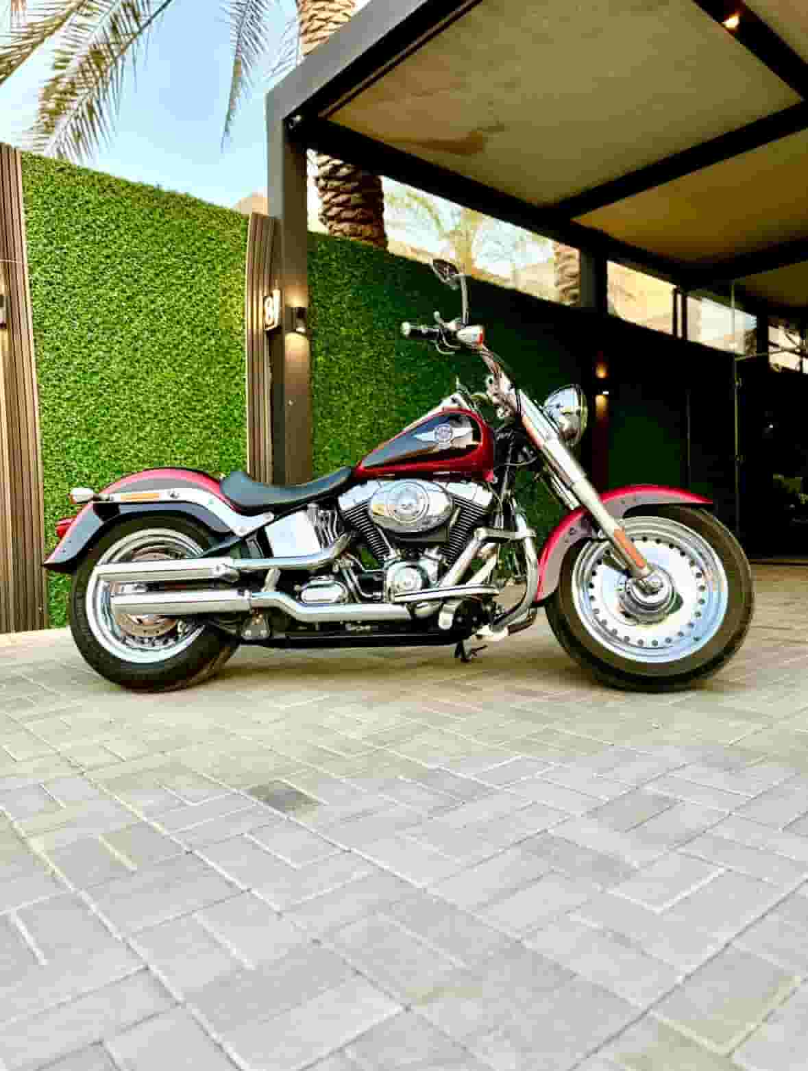 Harry Devitson Fatboy 2013 for sale