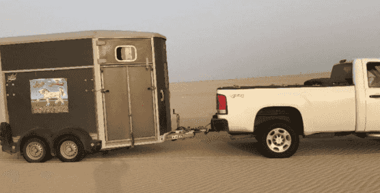 Horse transportation in all areas of Kuwait