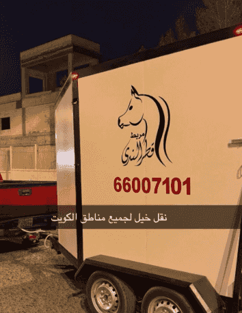 Horse transport to all areas of Kuwait