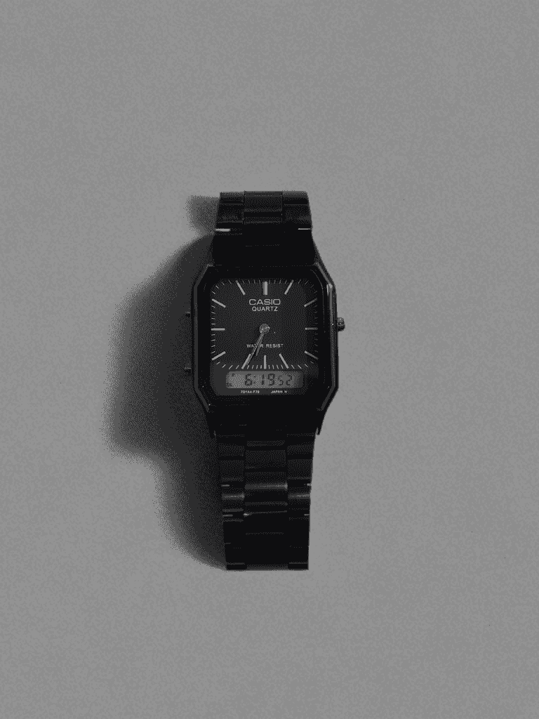CASIO QUARTZ WATCH 