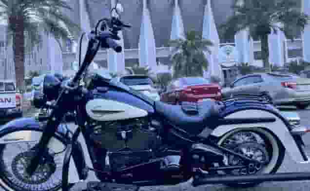 Harley Davidson 2019