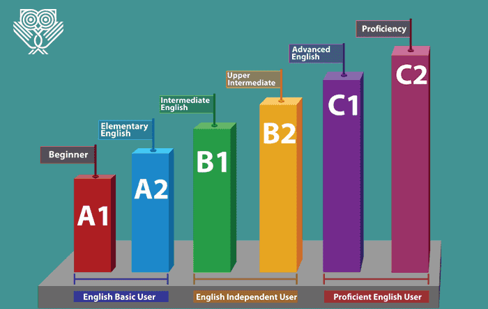 Medical and engineering teacher